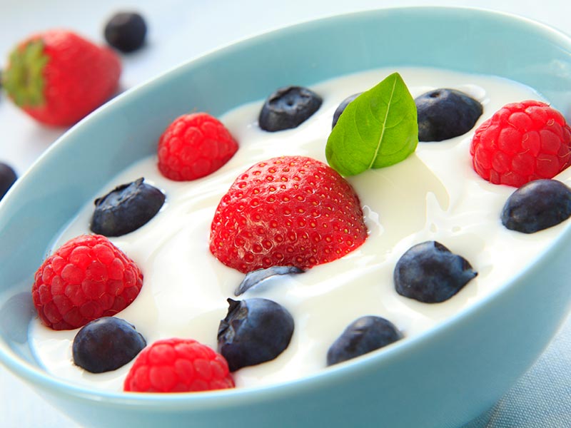 probioticos yoghurt